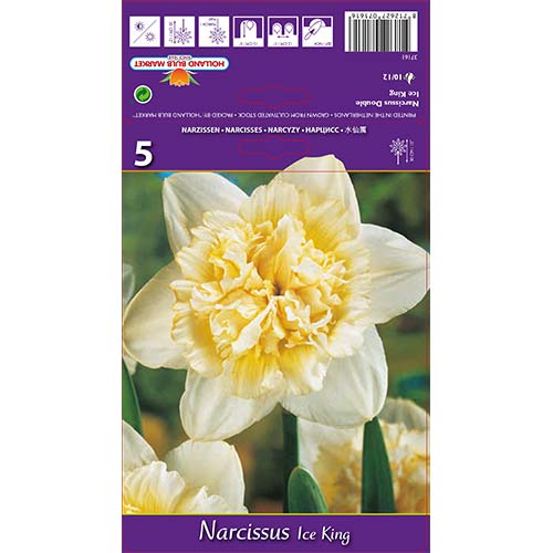 Narcises pildītās Ice King interface.image 1 interface.art 67415