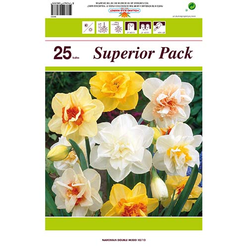 Lielisks piedāvājums! Narcissus pildītās, krāsu maisījums, komplektā 25 spuldzes interface.image 1 interface.art 70317