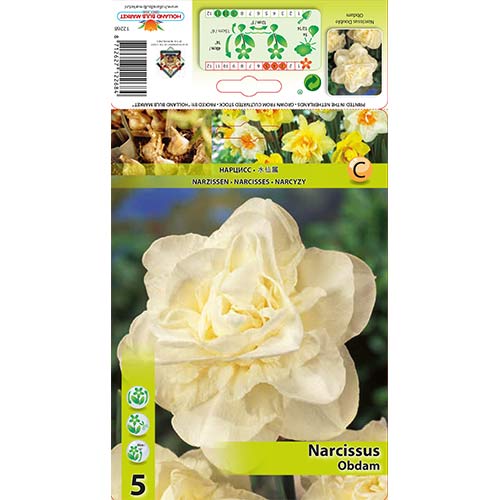 Narcise Obdam interface.image 1 interface.art 70286