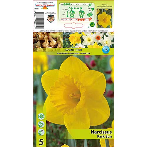 Narcise Park Sun interface.image 1 interface.art 67654