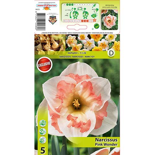 Narcises Pink Wonder interface.image 1 interface.art 67434