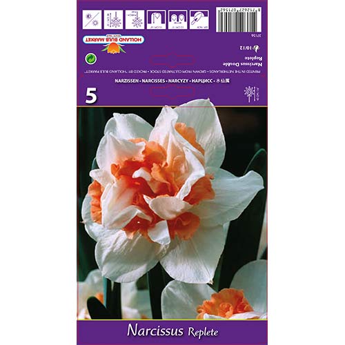 Narcises pildītās Replete interface.image 1 interface.art 68071