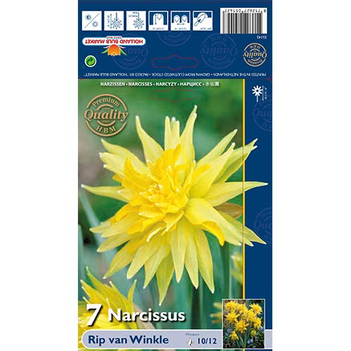 Narcises pildītās Rip van Winkle interface.image 1 interface.art 67660