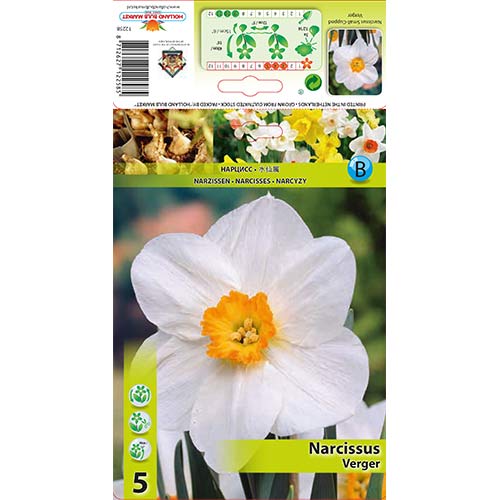 Narcise Verger interface.image 1 interface.art 70279