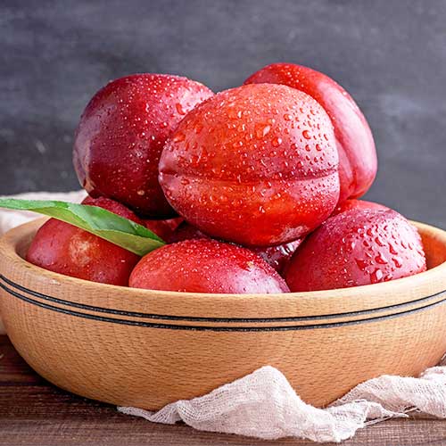 Nektarīns Aeris, С2 interface.image 1 interface.art 6935