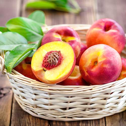 Nektarīns Caldesi 2000 interface.image 1 interface.art 4287