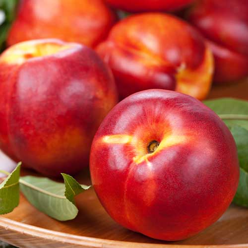 Nektarīns Madego, С2 interface.image 1 interface.art 7980