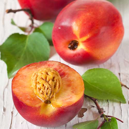 Nektarīns Rafale interface.image 1 interface.art 4286