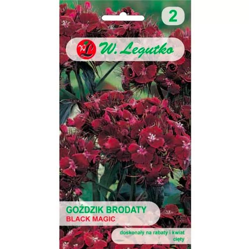 Neļķe Black Magic Legutko interface.image 1 interface.art 69590