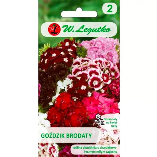 Neļķe Black Magic maisījums Legutko interface.image 1 interface.art 78603