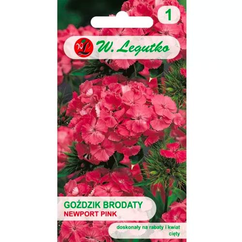 Neļķe Newport Pink Legutko interface.image 1 interface.art 78602