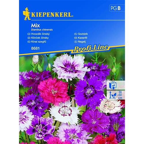 Neļķes, maisījums Kiepenkerl interface.image 1 interface.art 96562