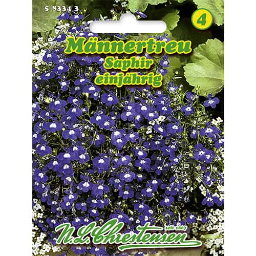 Nokarenās lobēlijas zilā krāsā Saphir interface.image 1 interface.art 86165