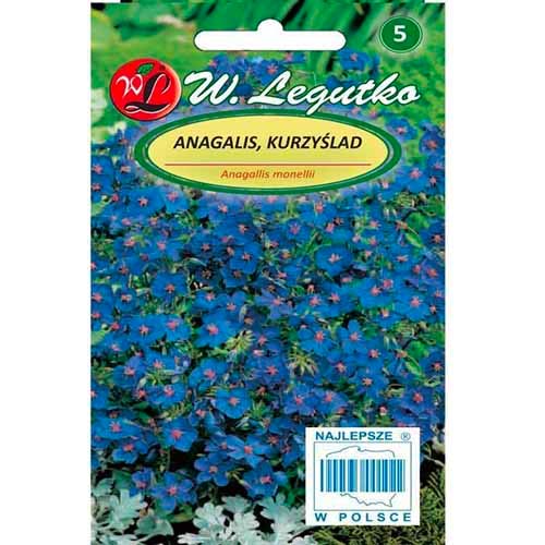 Opuntia zila (Anagallis) Legutko interface.image 1 interface.art 96764