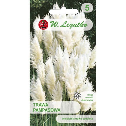 Pampasa zāle balta interface.image 1 interface.art 69634