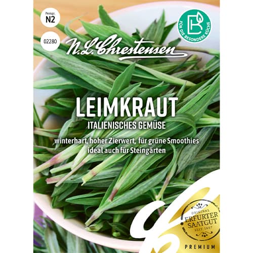 Parastās naktsvijoles interface.image 1 interface.art 86010