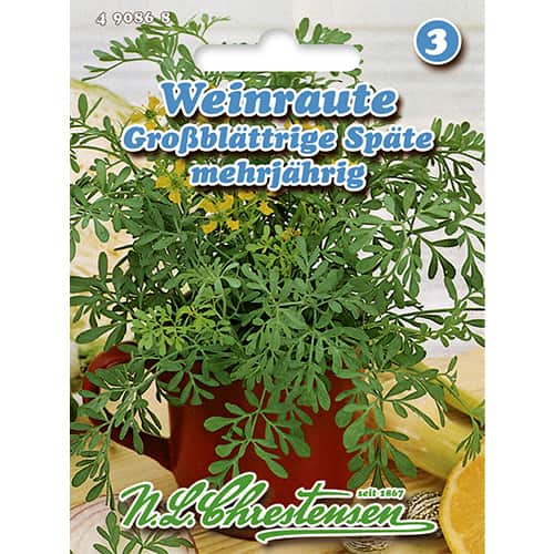 Parastās rūtas interface.image 1 interface.art 86022