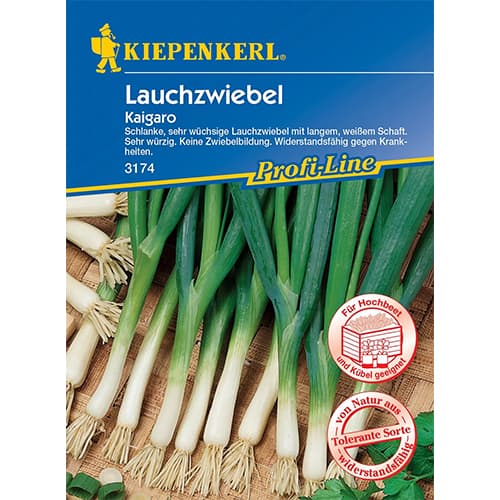 Pavasara sīpoli Kaigaro interface.image 1 interface.art 87283