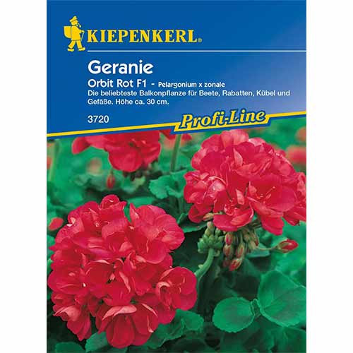 Pelargonijas Orbit F1 interface.image 1 interface.art 96536