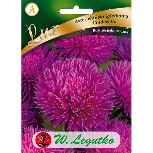 Pelnrušķīte adatlapu asteres Cinderella interface.image 1 interface.art 86742