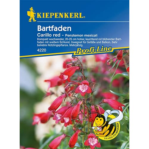 Penstemone meksikāņu Carillo Red interface.image 1 interface.art 86248
