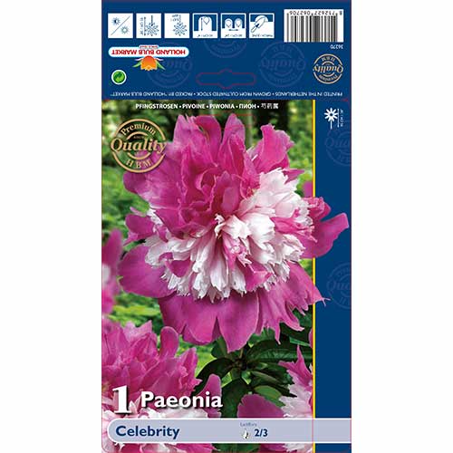 Peonija Celebrity interface.image 1 interface.art 76129