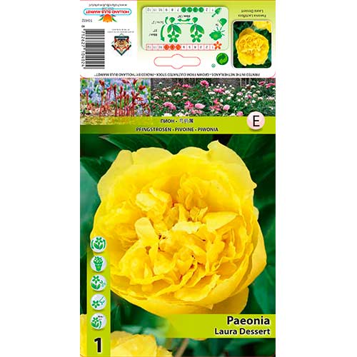 Peonija Laura Dessert interface.image 1 interface.art 76614