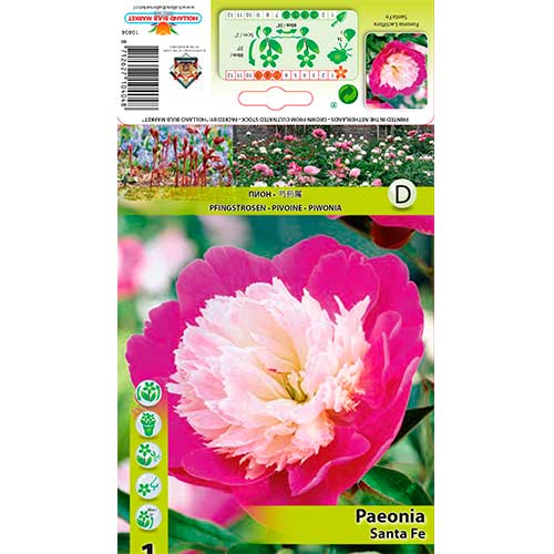 Peonija Santa Fe interface.image 1 interface.art 76339