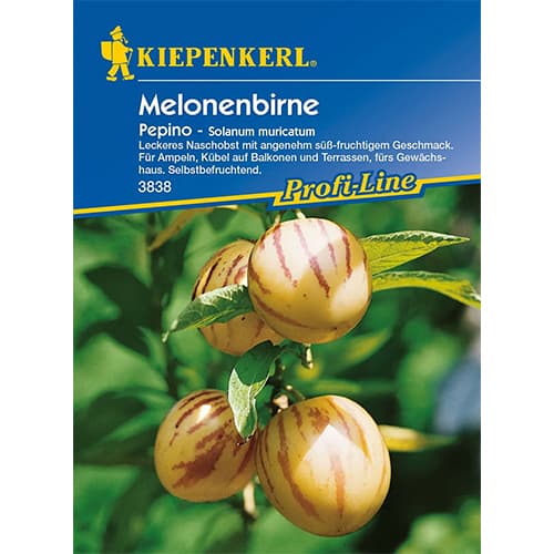 Pepino (meloņbumbieris) interface.image 1 interface.art 86478