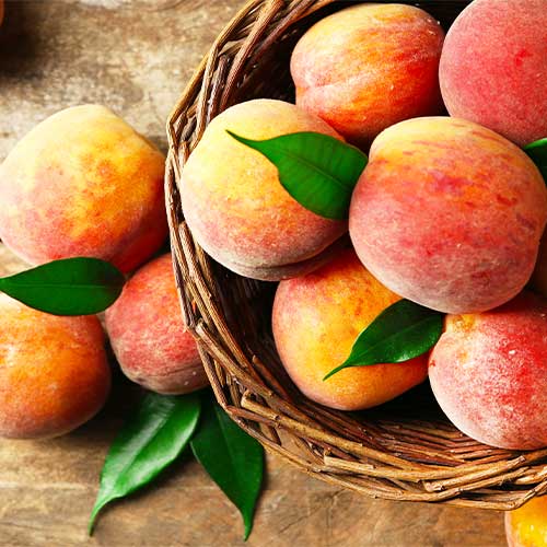 Persiku Drupi Qoll interface.image 1 interface.art 4292