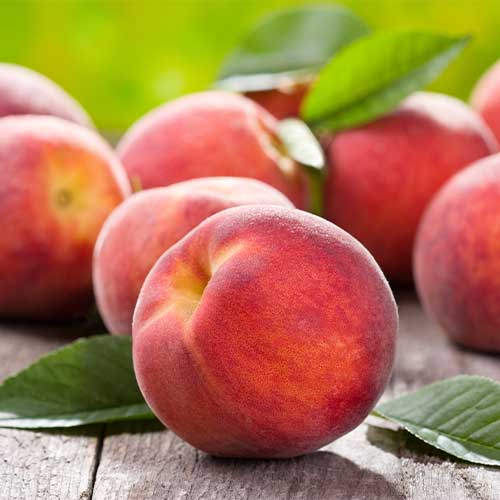 Persiku Fair Time interface.image 1 interface.art 4867