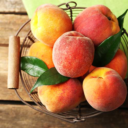 Persiku Maria Bianca interface.image 1 interface.art 4297