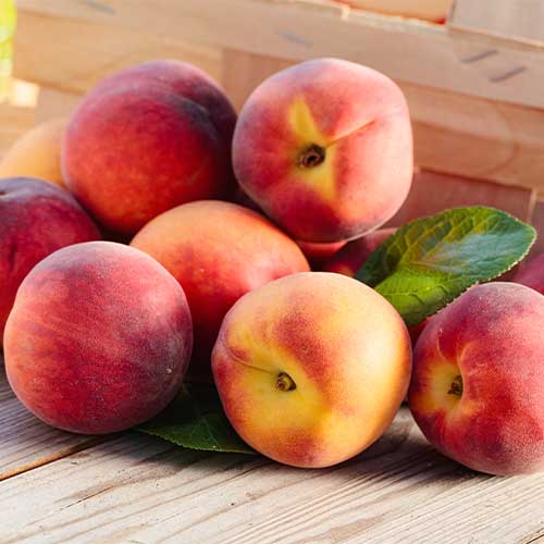 Persiku Romeo, C2 interface.image 1 interface.art 9678