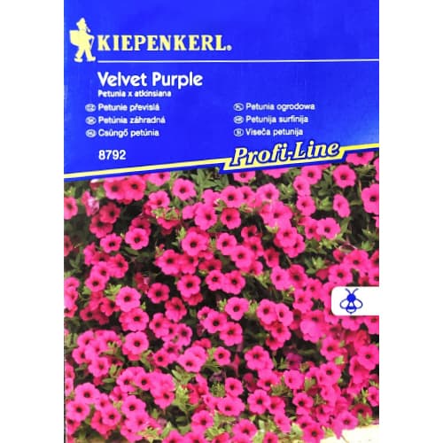 Petūnijas Velvet Purple F1 Kiepenkerl interface.image 1 interface.art 50061