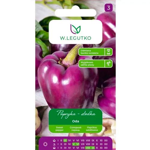 Pipari Sweet Oda Legutko interface.image 1 interface.art 50133