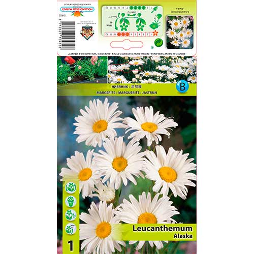 Pīpene Alaska interface.image 1 interface.art 76612