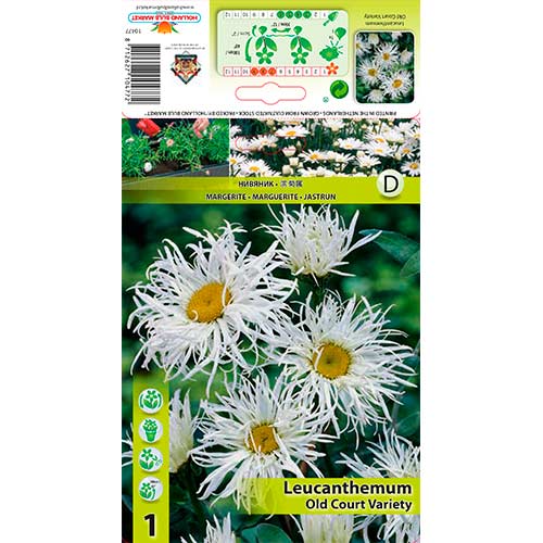 Pīpene Old Court Variety interface.image 1 interface.art 76613