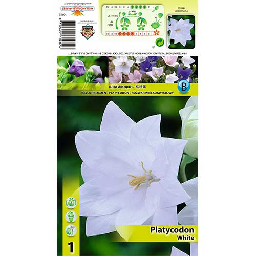 Platpulkstenīte White interface.image 1 interface.art 70449