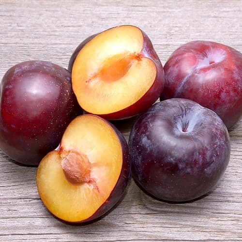 Plūme Angeleno, C2 interface.image 1 interface.art 9687