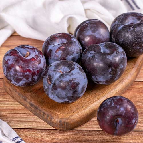 Plūme Black Star, С2 interface.image 1 interface.art 5673