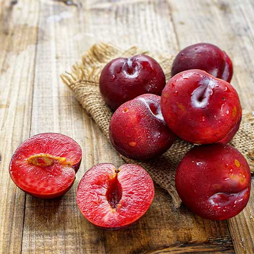 Plūme Red Lure, С2 interface.image 1 interface.art 4311