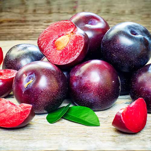 Plūme Sonic Lady, С2 interface.image 1 interface.art 4313