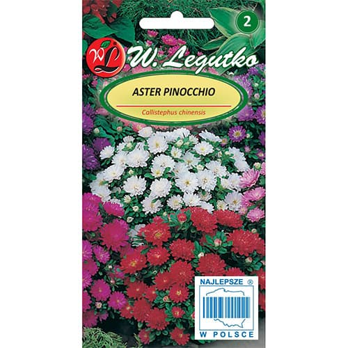 Punduris ķīniešu aster Pinocchio, jaukt interface.image 1 interface.art 86813