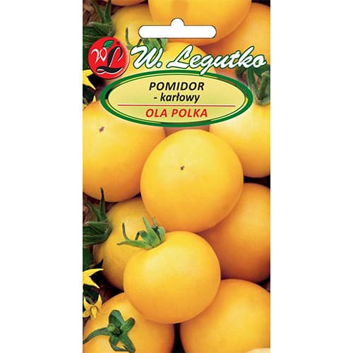 Punduris zemes tomāts Ola Polka interface.image 1 interface.art 69516