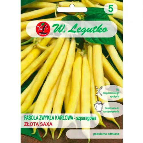 Pundurpupiņas zelts Saxa Legutko interface.image 1 interface.art 50129