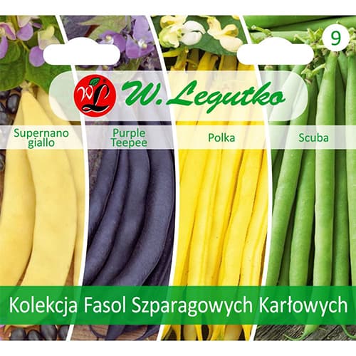 Pundurpupiņu zaļo pupiņu kolekcija interface.image 1 interface.art 96838