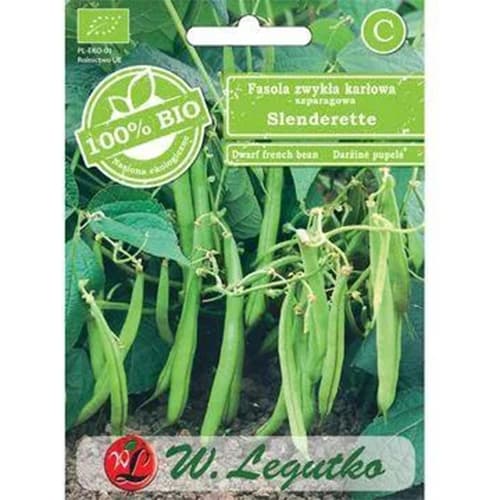 Pundurtās zaļās pupiņas Slenderette interface.image 1 interface.art 96828