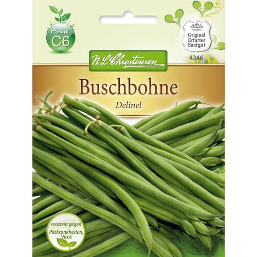 Pupiņas Delinel interface.image 1 interface.art 78816