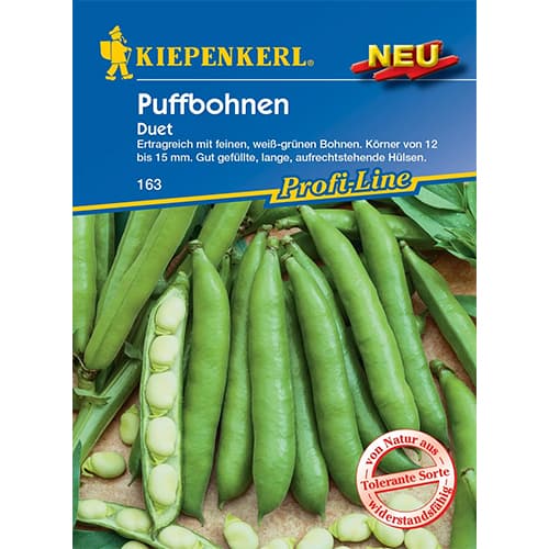 Pupiņas Duet interface.image 1 interface.art 87793