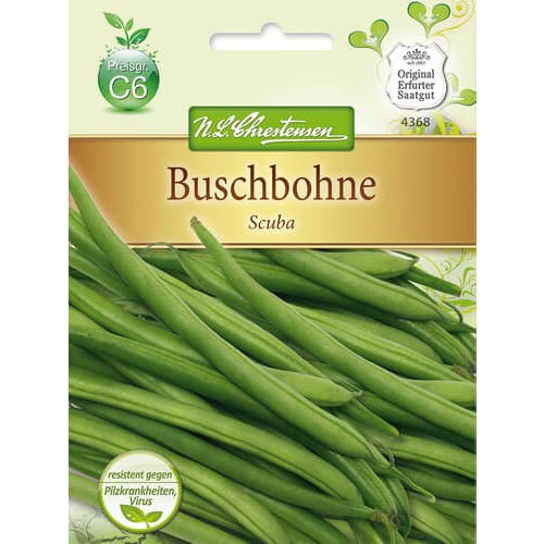 Pupiņas Scuba interface.image 1 interface.art 78825